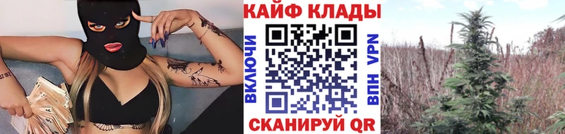 Магазины продажи наркотиков Великие Луки Кокаин Героин Альфа ПВП МАРИХУАНА ГАШИШ Мефедрон