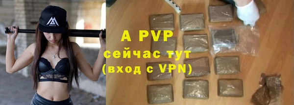 спиды Пестово