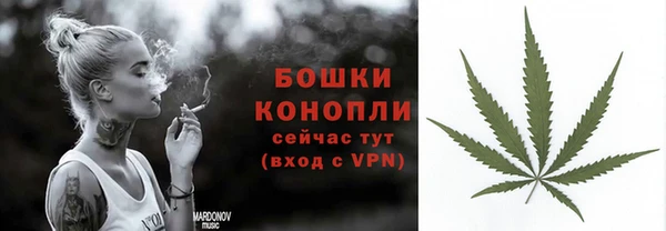спиды Пестово