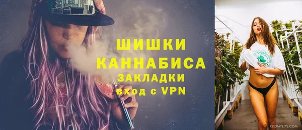 спиды Пестово