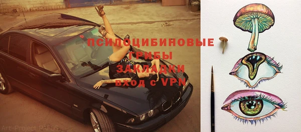 спиды Пестово