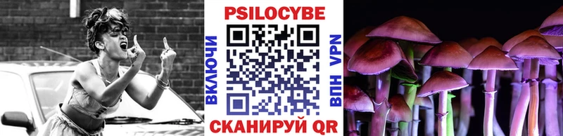 закладки  Великие Луки  Галлюциногенные грибы Psilocybine cubensis 