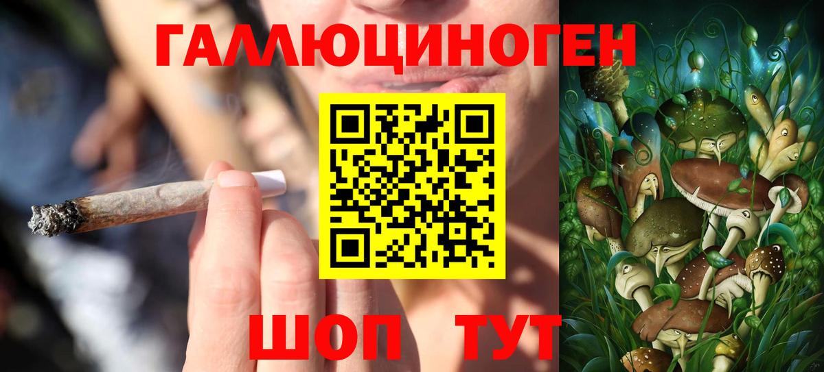 Псилоцибиновые грибы MAGIC MUSHROOMS  Вход с VPN  Великие Луки 