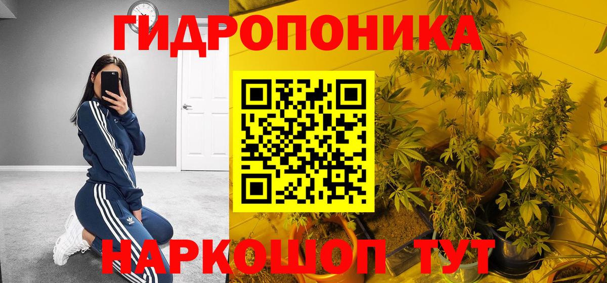 МАРИХУАНА OG Kush  МАРИХУАНА THC 21%  Бошки марихуана индика  Вход с VPN  Великие Луки 